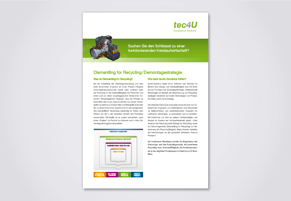 Download Flyer Dismantling for Recycling